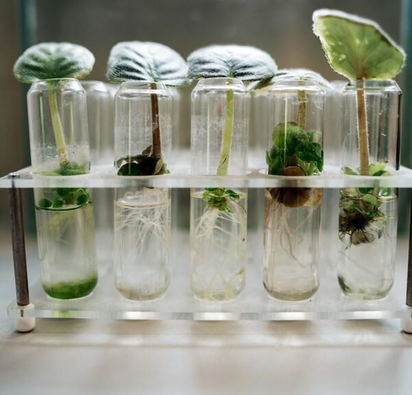 market innovation growth analysis